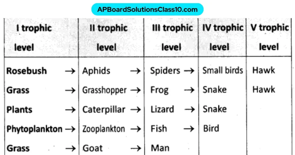 APBoardSolutionsClass10.com 10