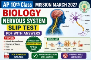 AP 10th Biology Nervous System Slip Test PDF 2026 – Mission March 2027