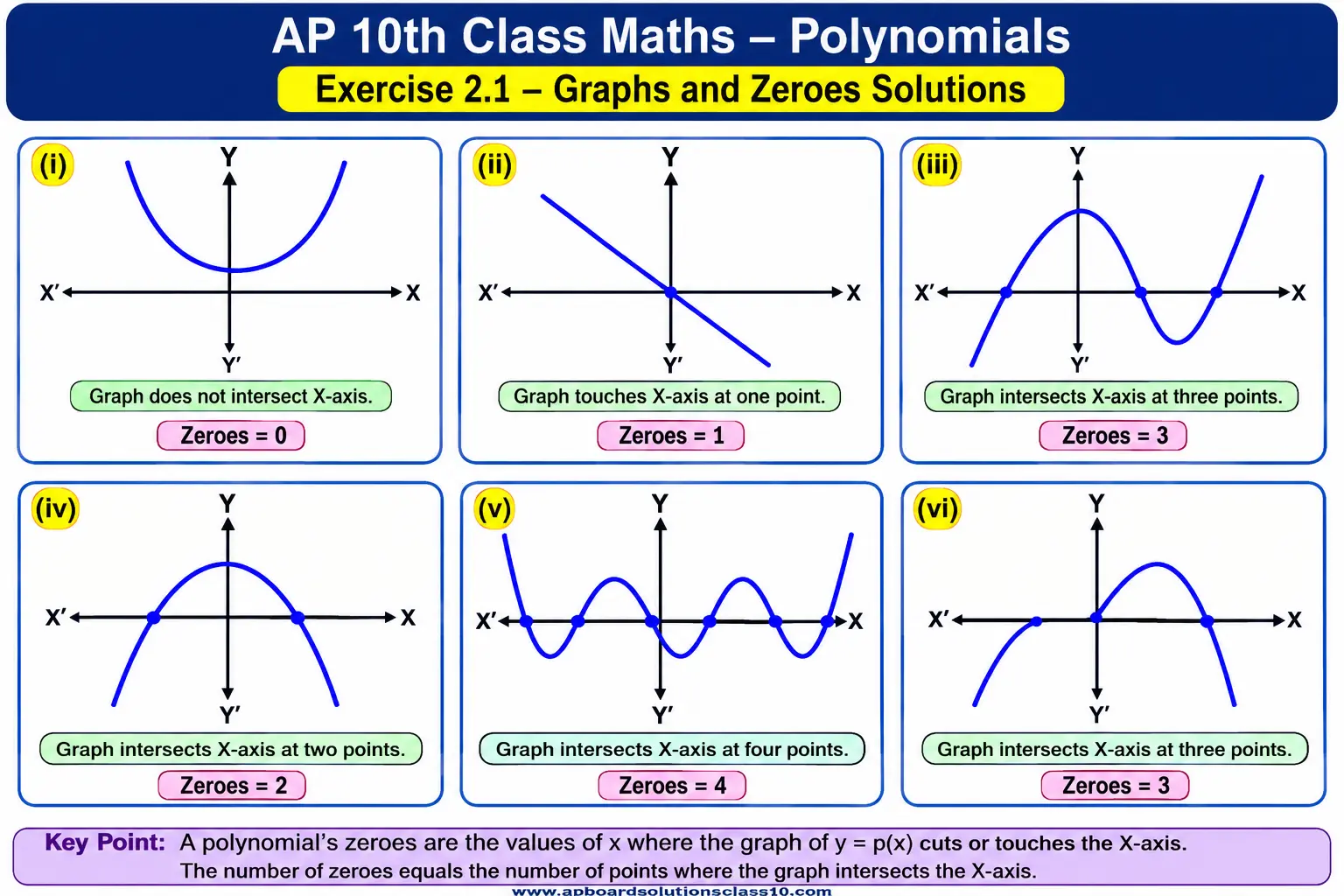 AP 10th Class Maths Polynomials Exercise 2.1 Solutions
