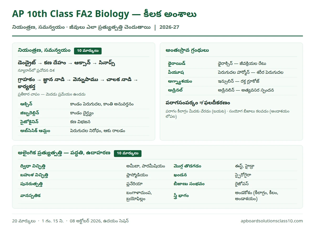 AP 10th Class FA2 Biology Question Paper 2026-27 కీలక అంశాలు — న్యూరాన్, ప్రతీకార చాపం, మొక్కల హార్మోన్లు, ప్రత్యుత్పత్తి పద్ధతులు