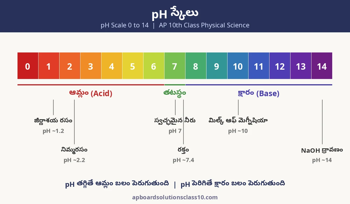 AP 10th Class Acids Bases and Salts Solutions - pH స్కేలు 0 నుంచి 14, ఆమ్లం, తటస్థం, క్షారం ఉదాహరణలు