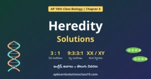 AP 10th Class Heredity Solutions – Biology Question Answers in English and Telugu