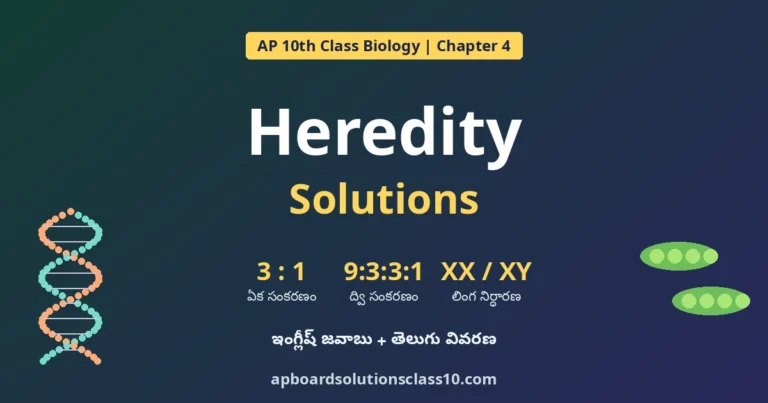 AP 10th Class Heredity Solutions - In-text, Exercise, Important Questions