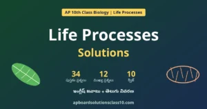 AP 10th Class Life Processes Solutions – Biology Question Answers in English and Telugu